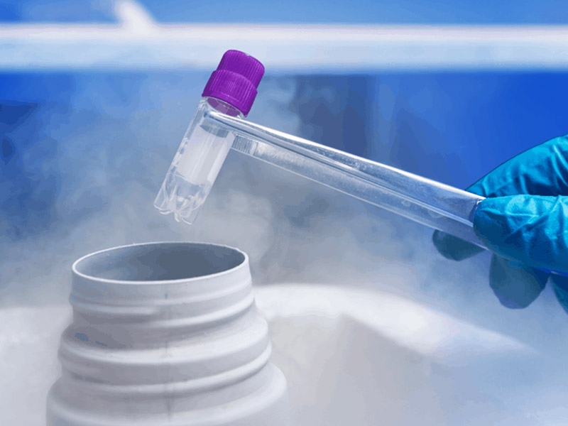 Vitrification and Frozen Embryo Transfer